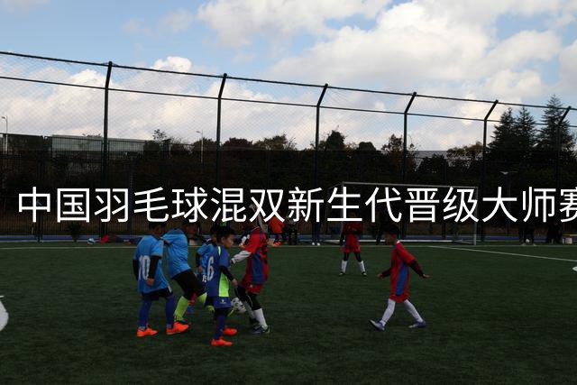 中国羽毛球混双新生代晋级大师赛半决赛